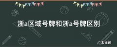 浙a区域号牌和浙a号牌区别 浙a区域号牌与浙A号牌区别