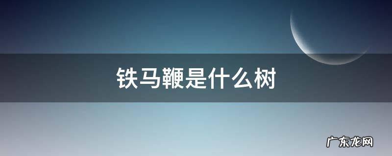 铁马鞭是什么树 铁马鞭树生长在什么地方