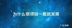 为什么我一戴银项链就发黑 为什么银项链一戴就发黑