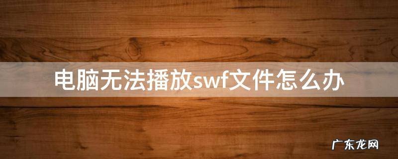 电脑上的swf播放器播放不了 电脑无法播放swf文件怎么办