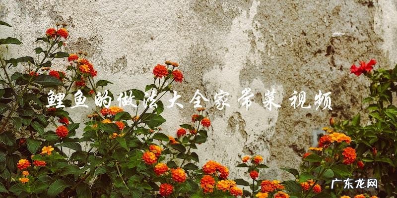 鲤鱼的做法大全家常菜 视频