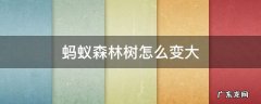 蚂蚁森林树怎么变大 蚂蚁森林树怎么变大图片