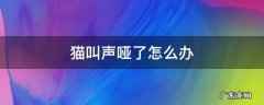 猫叫声哑了怎么办 猫叫声哑了是怎么回事