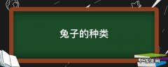 兔子的种类介绍和图片 兔子的种类