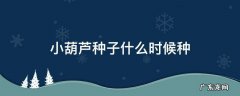小葫芦种子什么时候种 小葫芦种子什么时候种合适