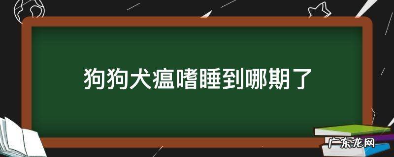 狗狗犬瘟嗜睡到哪期了 狗狗犬瘟一直睡觉