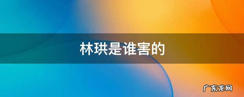 林珙是谁害的 林珙是谁害的 小说