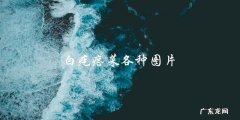 白疙瘩菜各种图片