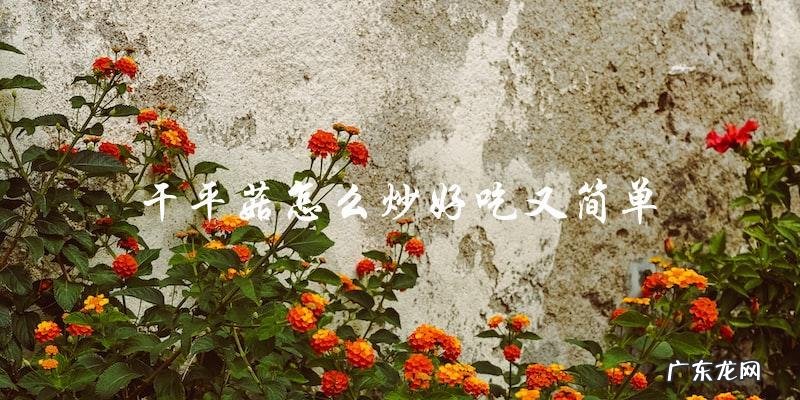 教你简单又美味的干平菇炒法