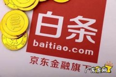 京东白条卡有哪些？京东白条卡怎么申请？