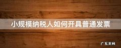小规模纳税人如何开具普通发票