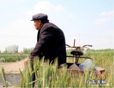 农村老人种不了的地怎么办