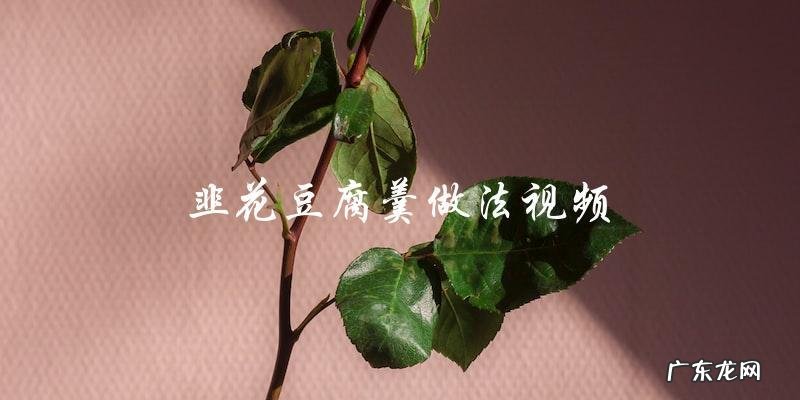 学习韭花豆腐羹的制作方法:观看视频教程!