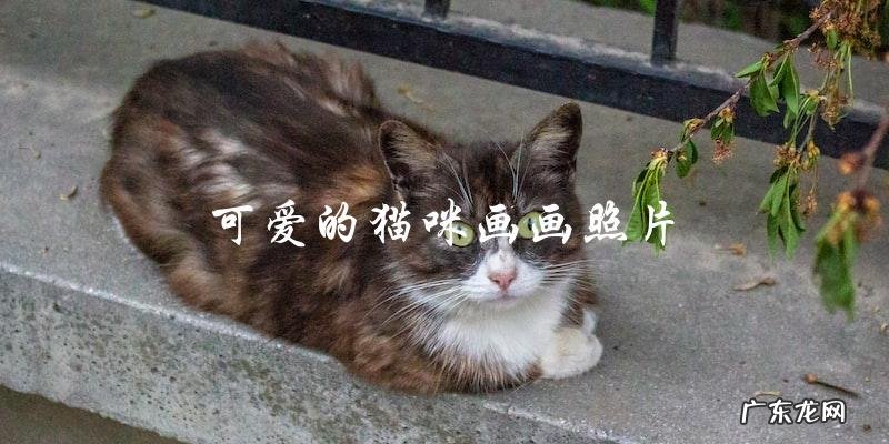 你喜欢可爱的猫咪吗?他们画画的照片能否让你心动?