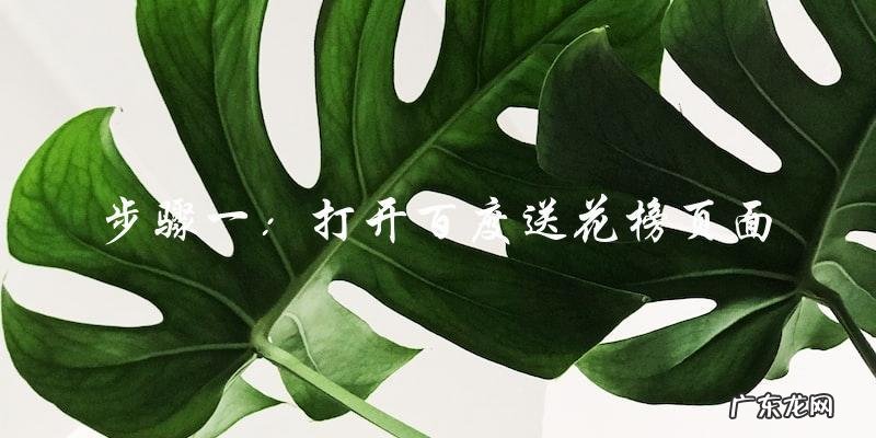 百度送花榜明星人气榜