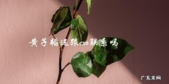 黄子韬与EXO之间的联系到底还有没有？答案让人意想不到！