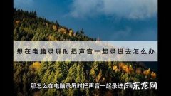 电脑录屏可以录内声吗