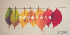 学做牛肉火锅，让你在家也能享受正宗火锅美食！