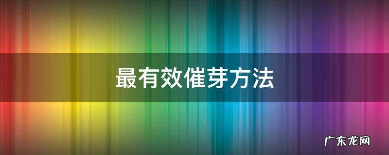 常用的催芽方法 最有效催芽方法