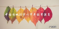 未来之星？中国内地30岁以下年轻男演员的崛起之路！