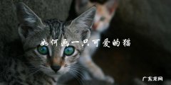 如何在画纸上画一只可爱的猫？