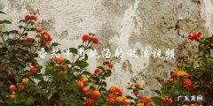 学做番茄牛肉炖汤，看这个视频就够了！