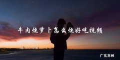 牛肉烧萝卜怎么烧好吃视频