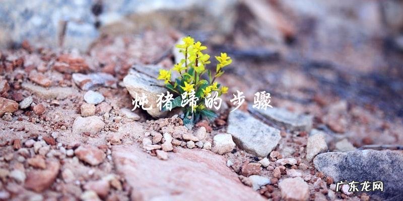 炖猪蹄三放三不放