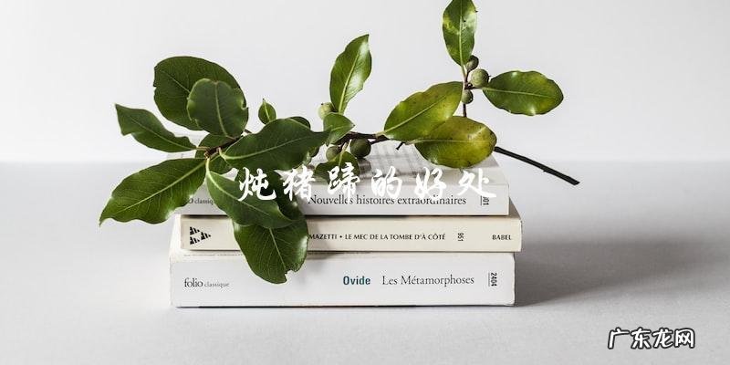 炖猪蹄三放三不放