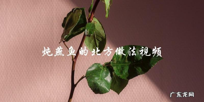 北方烹饪炖燕鱼视频教程,让你轻松掌握做法!