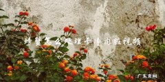 螃蟹怎么处理干净内脏视频