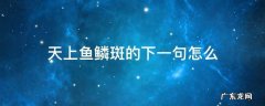 天上鱼鳞斑的下一句是啥 天上鱼鳞斑的下一句怎么