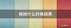 桃树什么时候结果实 桃树什么时候结果