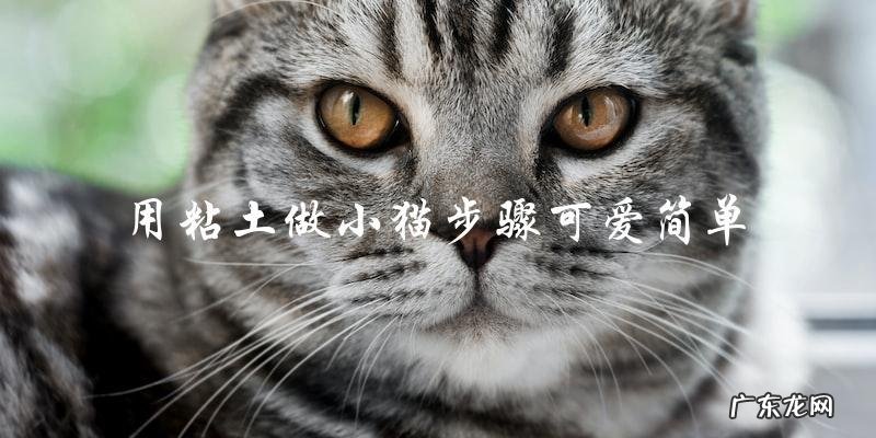 如何用简单可爱的步骤用粘土制作小猫?