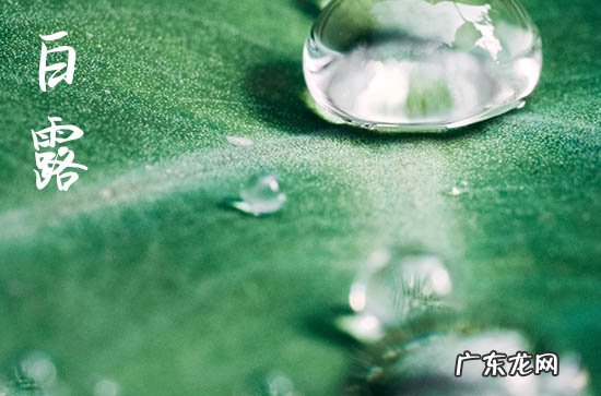 2023年白露后13天交运吗 白露后超简单的转运方法