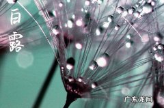 2023年白露是几月几号 白露节气的含义是什么