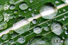 今年白露是哪天 2023年白露是哪天