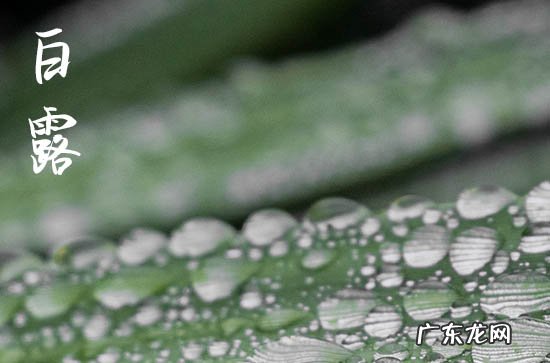 2023年白露前一天办事好不好 白露的传统风俗