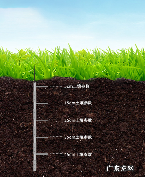 地鼠毁苗好可恶 地老鼠植物如何种植