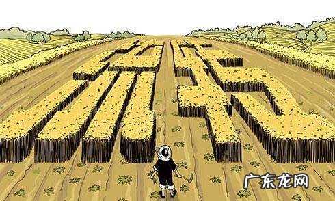 这份攻略请查收 种植葡萄怎么补贴