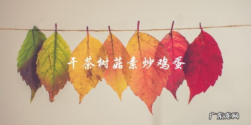 家常干茶树菇素炒做法大全，让你轻松做出美味素菜！