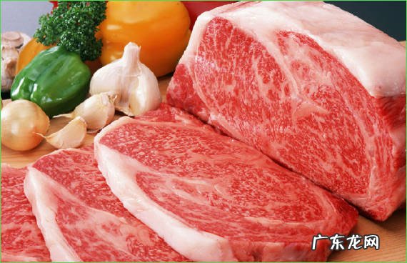 鸡蛋 小奶猫可以吃哪些食物