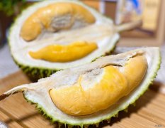 榴莲 猫咪喜欢吃哪些蔬果