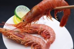 大虾 猫咪可以吃哪些人类的食物