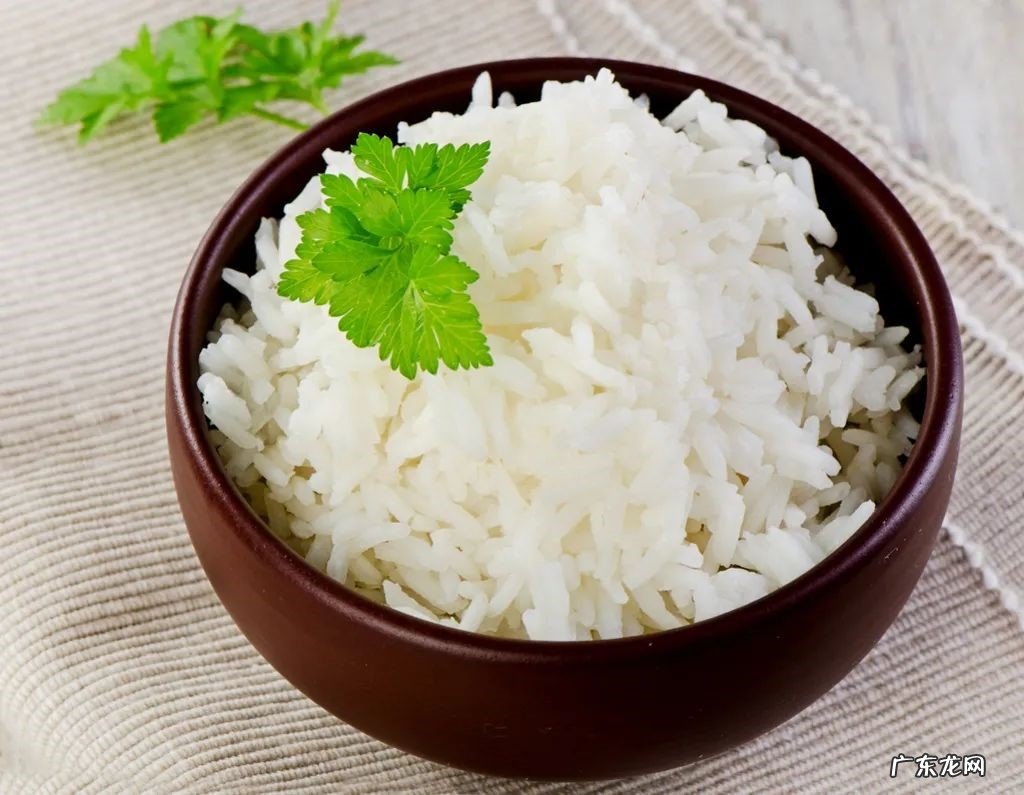 大虾 猫咪可以吃哪些人类的食物