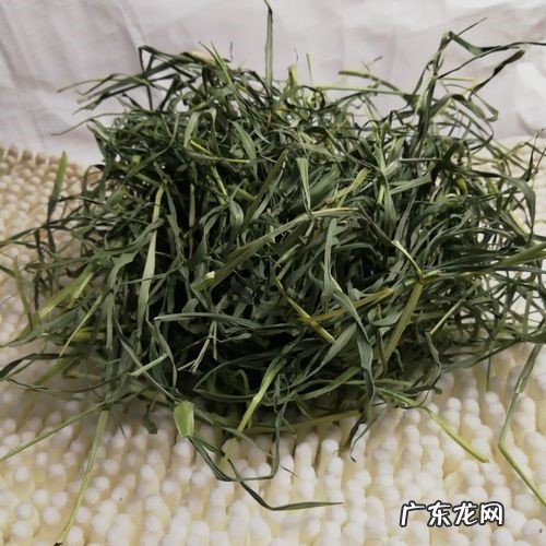 兔粮 可以给兔子吃哪些食物