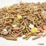 兔粮 可以给兔子吃哪些食物