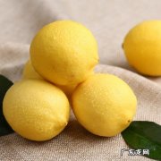 柠檬 不适合狗狗吃的水果有哪些