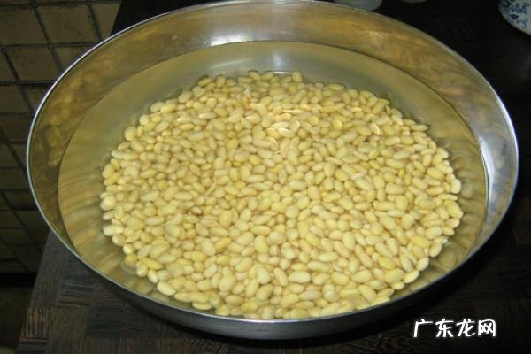 雨水 哪些水能帮植物养根