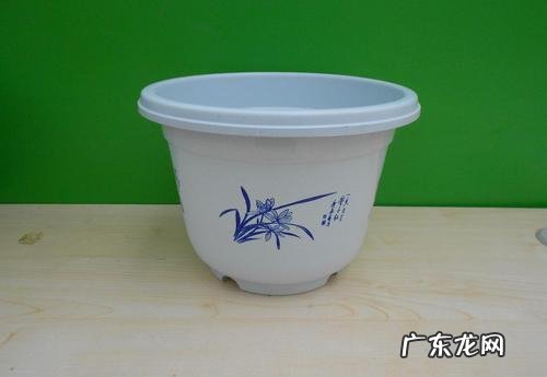 粘土陶瓷花盆 室内绿植可以选择什么花盆